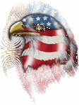 pic for eagle flag